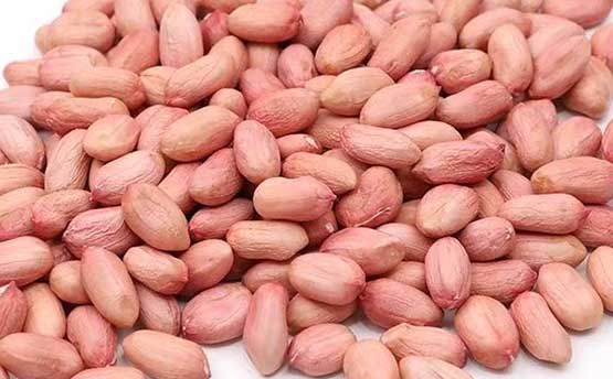Raw Peanut Kernels