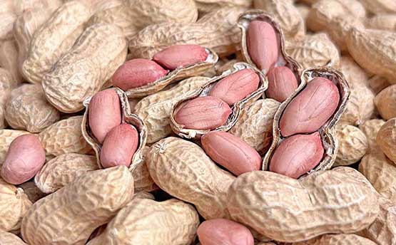 Raw In-Shell Peanuts