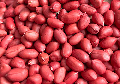 Roasted Peanuts with Red Skin