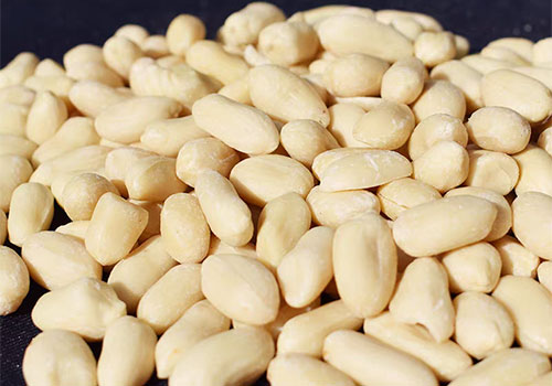 Roasted Peanut Kernel