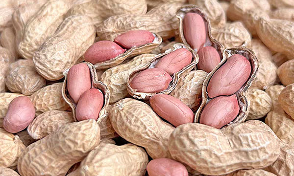 Raw In-Shell Peanut