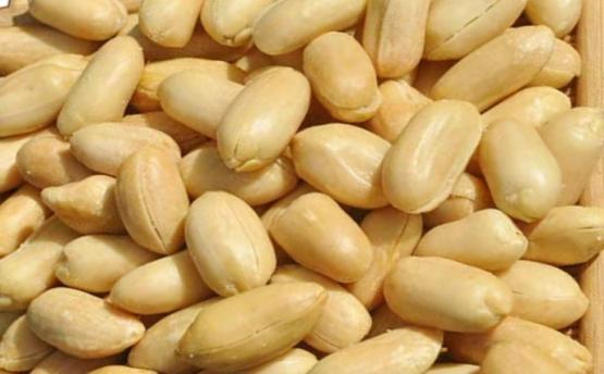Roasted and salted peanuts
