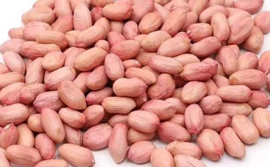 Raw peanut kernels(long type)