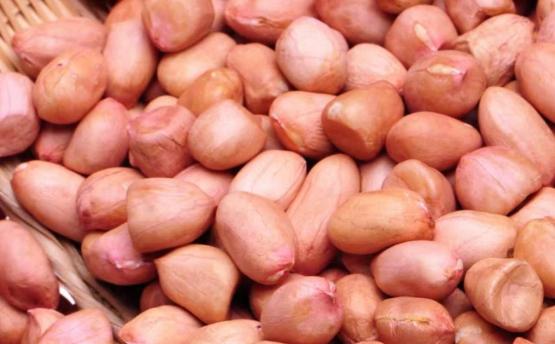 Raw peanut kernels (round type)